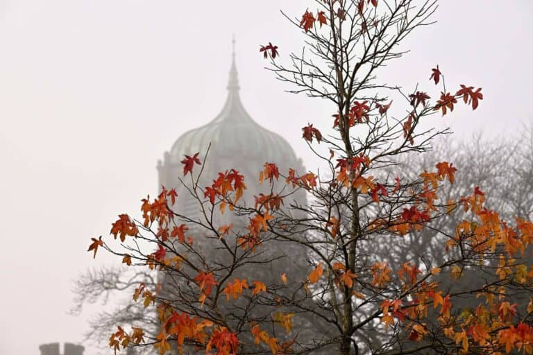 Fall Into Autumn – 15% Off on 1 Night Dinner Bed & Breakfast